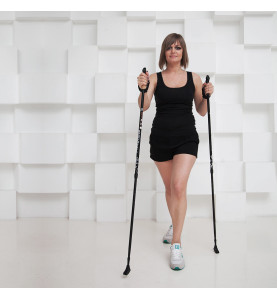 Basic Walker палки для скандинавской ходьбы (двухсекционные)