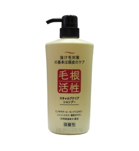 Junlove Scalp Clear Shampoo / Шампунь для укрепления и роста волос, 550 мл Junlove Scalp Clear Shampoo / Шампунь для укрепления и роста волос, 550 мл