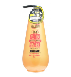 Junlove Scalp Clear Shampoo / Шампунь для укрепления и роста волос, против перхоти, 500 мл Junlove Scalp Clear Shampoo / Шампунь для укрепления и роста волос, против перхоти, 500 мл